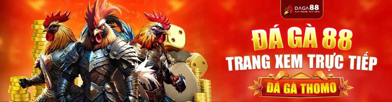 Giao diện cá cược thể thao QH88 với trận đấu bóng đá
